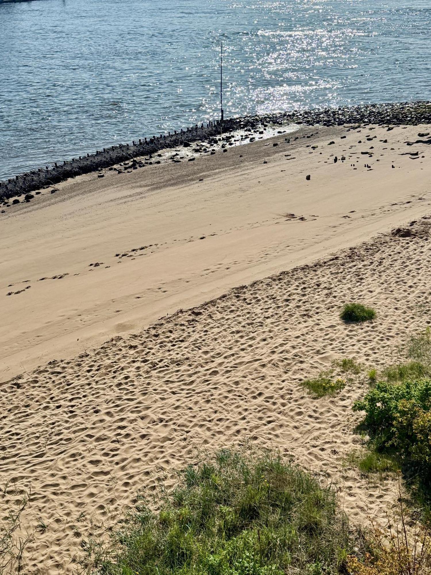 Gaestehaus Weserblick Am Weser-Sandstrand Berne 外观 照片